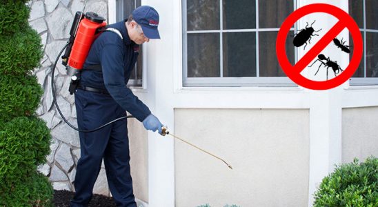 Gölpazarı Böcek ve Haşere İlaçlama böcek ilaçlama ve haşere kontrolü — ilaclama-tr.com